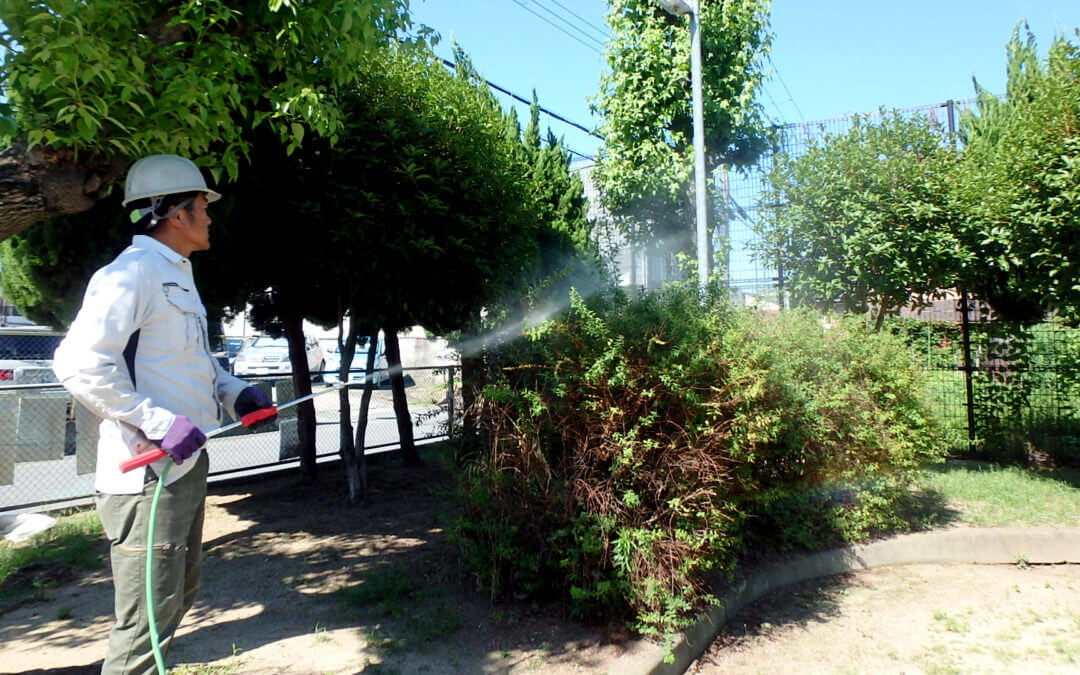 夏の虫害対策：ハーベストがお庭と植木を守ります